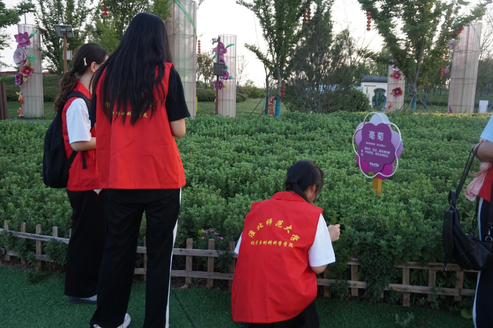 3ece44e8e6fd406ca5874b0defc56845.png 3ece44e8e6fd406ca5874b0defc56845.png