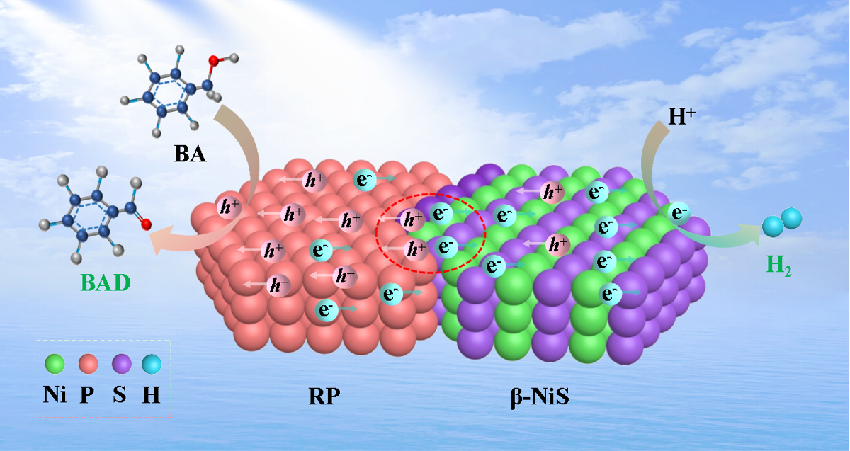 8837d0f78ba64cda8304311594429440.png 8837d0f78ba64cda8304311594429440.png