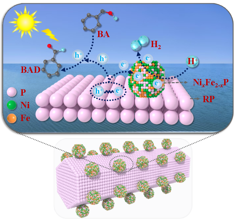 a65503c444e146c7ba0c443858e5ce49.png a65503c444e146c7ba0c443858e5ce49.png