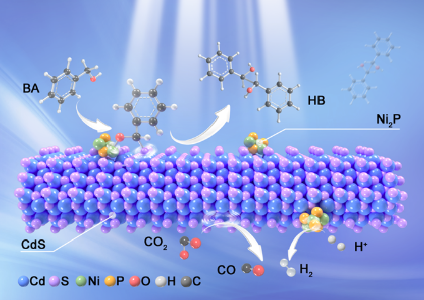 61db7e4a934642bc88446e4928db83d4.png 61db7e4a934642bc88446e4928db83d4.png